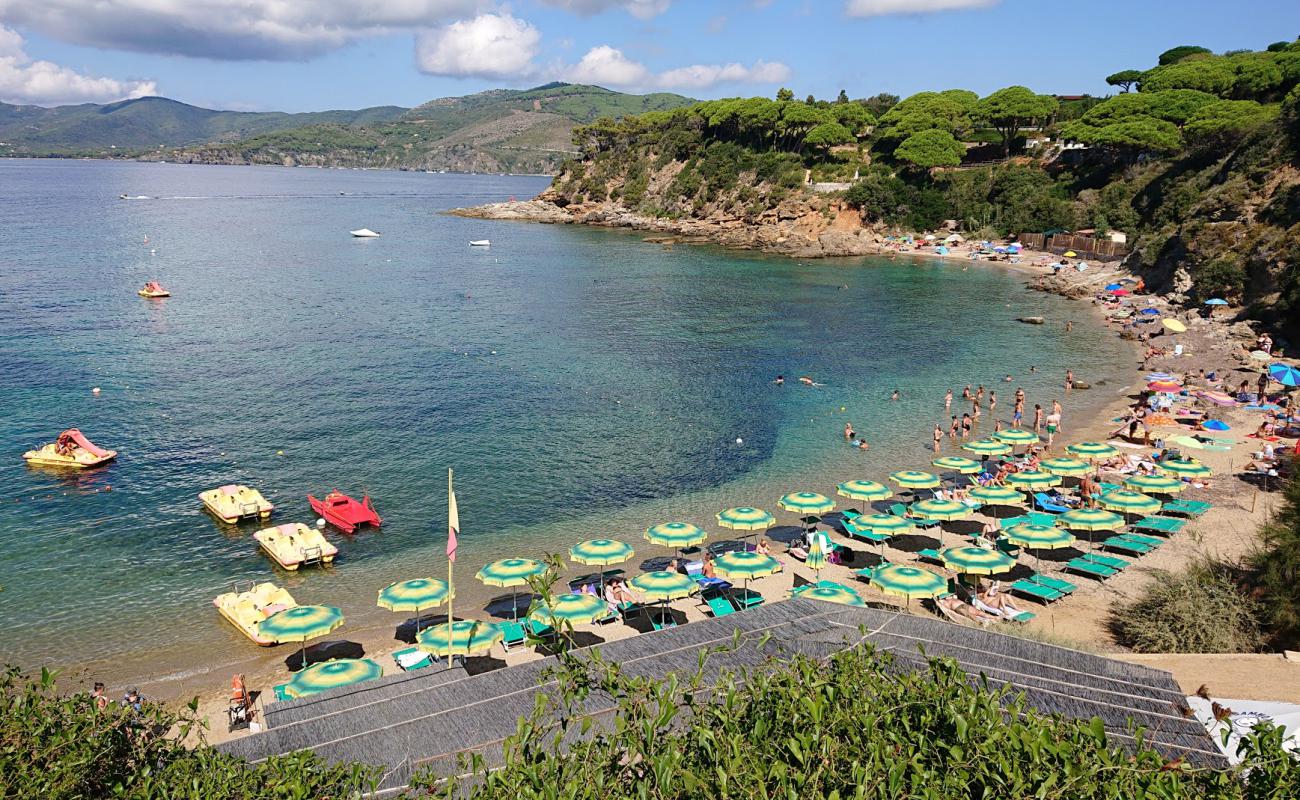 Photo of Zuccale beach with bright sand surface