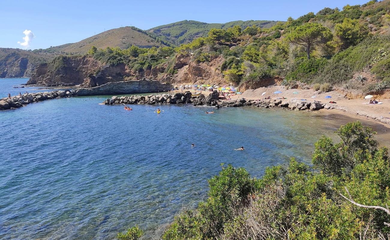 Photo of Felciaio Beach with bright sand surface