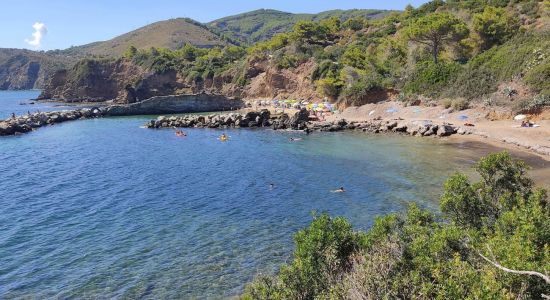 Felciaio Beach