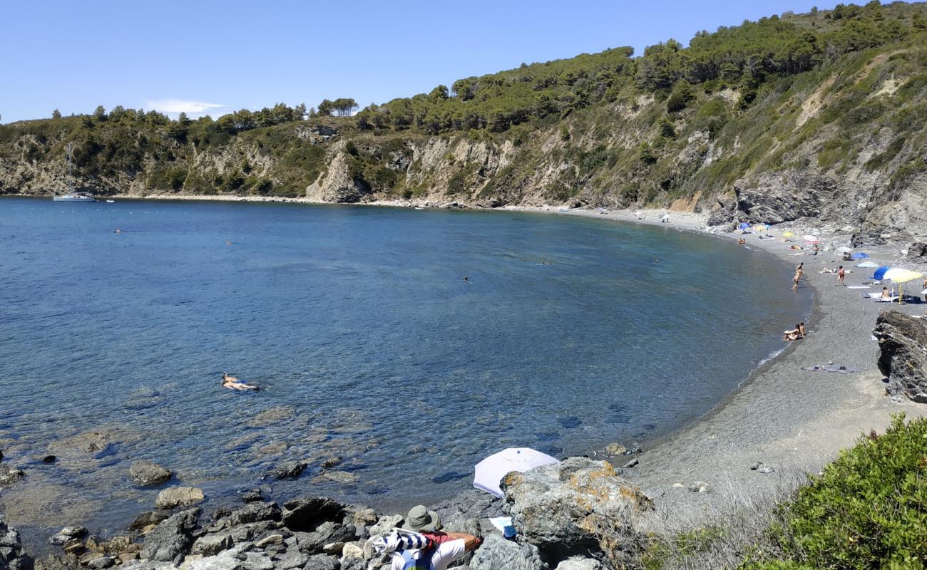 Photo of Aquarilli beach with black pebble surface