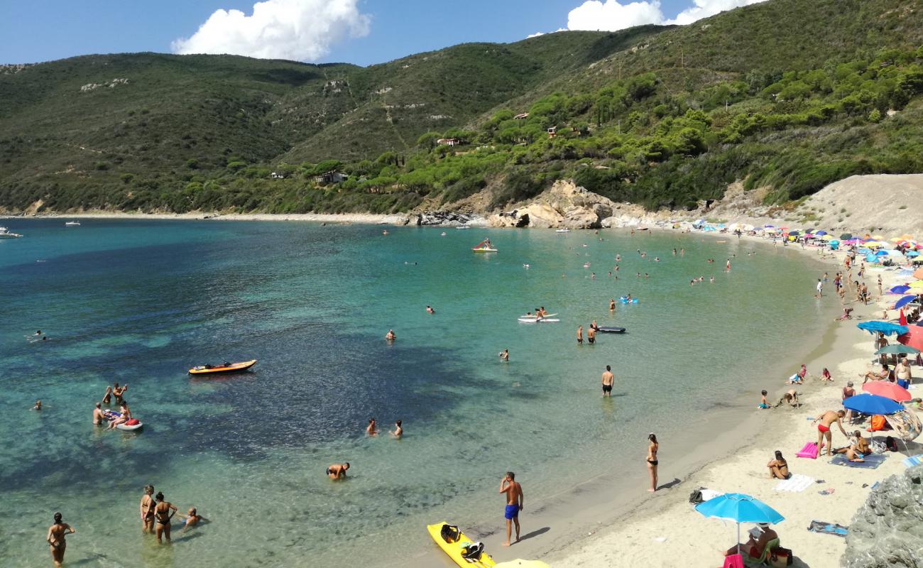 Photo of Laconella beach with bright sand surface