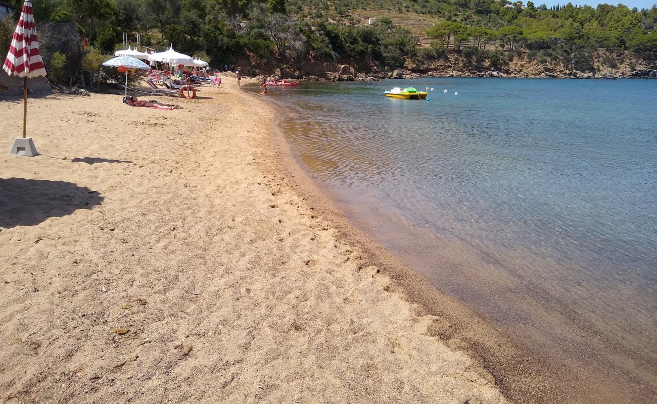 Photo of Spiaggia di Galenzana with light fine pebble surface