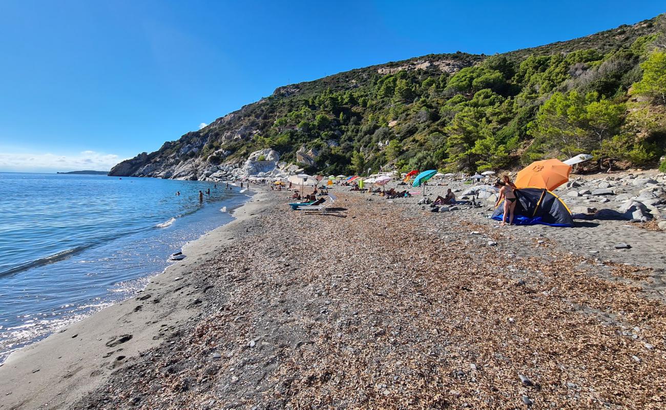 Photo of Palombaia Beach with gray pebble surface