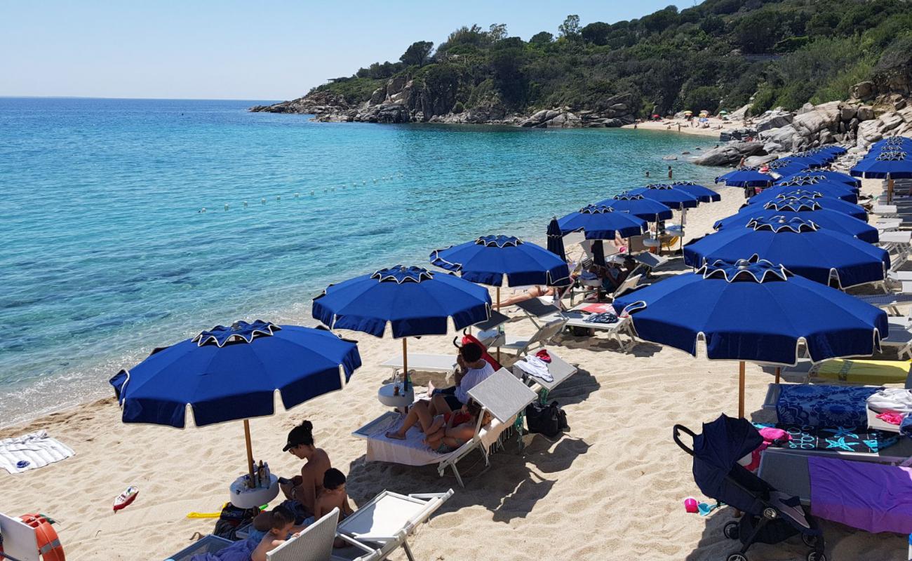 Photo of Cavoli Beach with bright fine sand surface