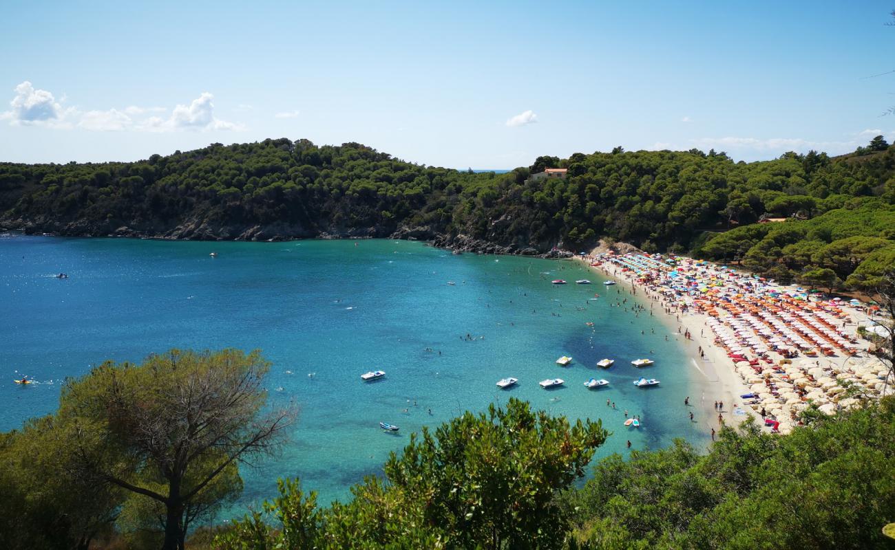 Photo of Fetovaia Beach with bright sand surface