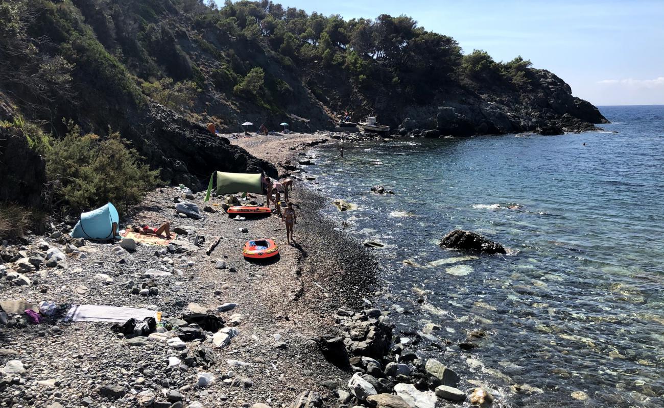 Photo of Spiaggia dell'Ogliera with light pebble surface