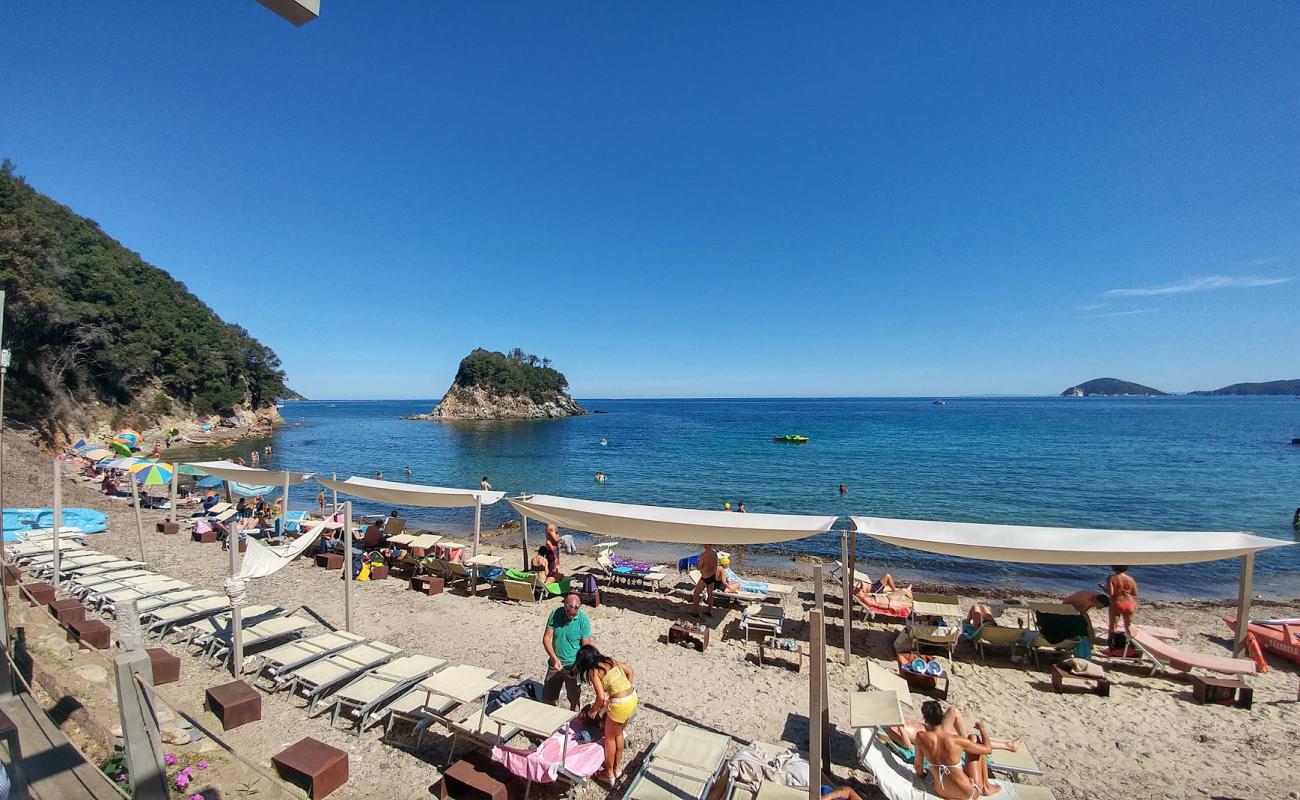 Photo of Spiaggia della Paolina with light pebble surface