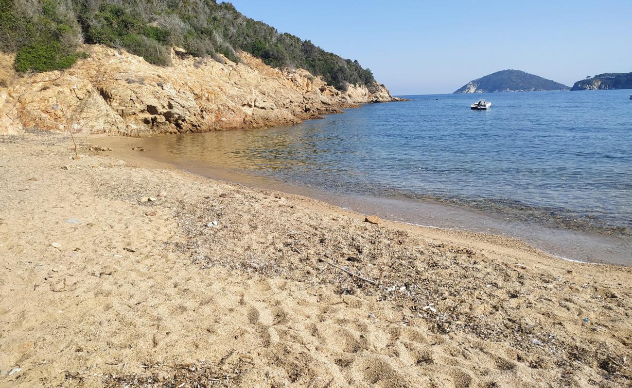 Photo of Spiaggetta del Porticciolo with light fine pebble surface