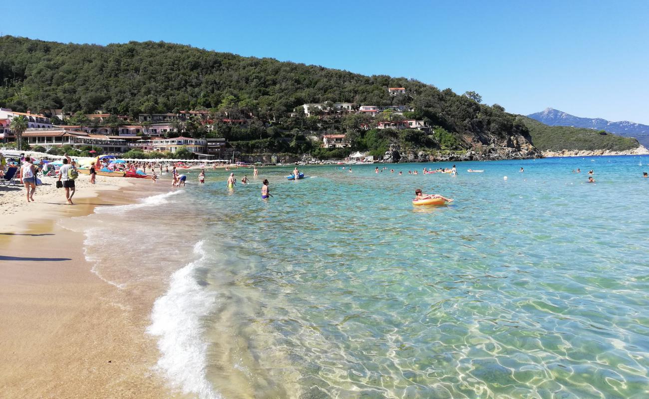 Photo of Biodola Beach with bright fine sand surface