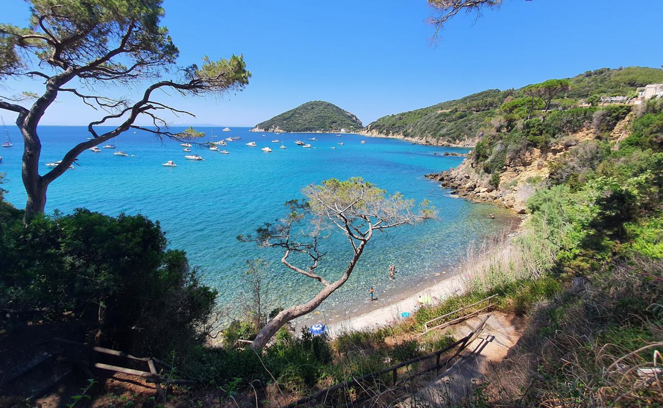 Photo of Spiaggia del Viticcio with gray pebble surface