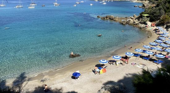 Spiaggia del Viticcio II