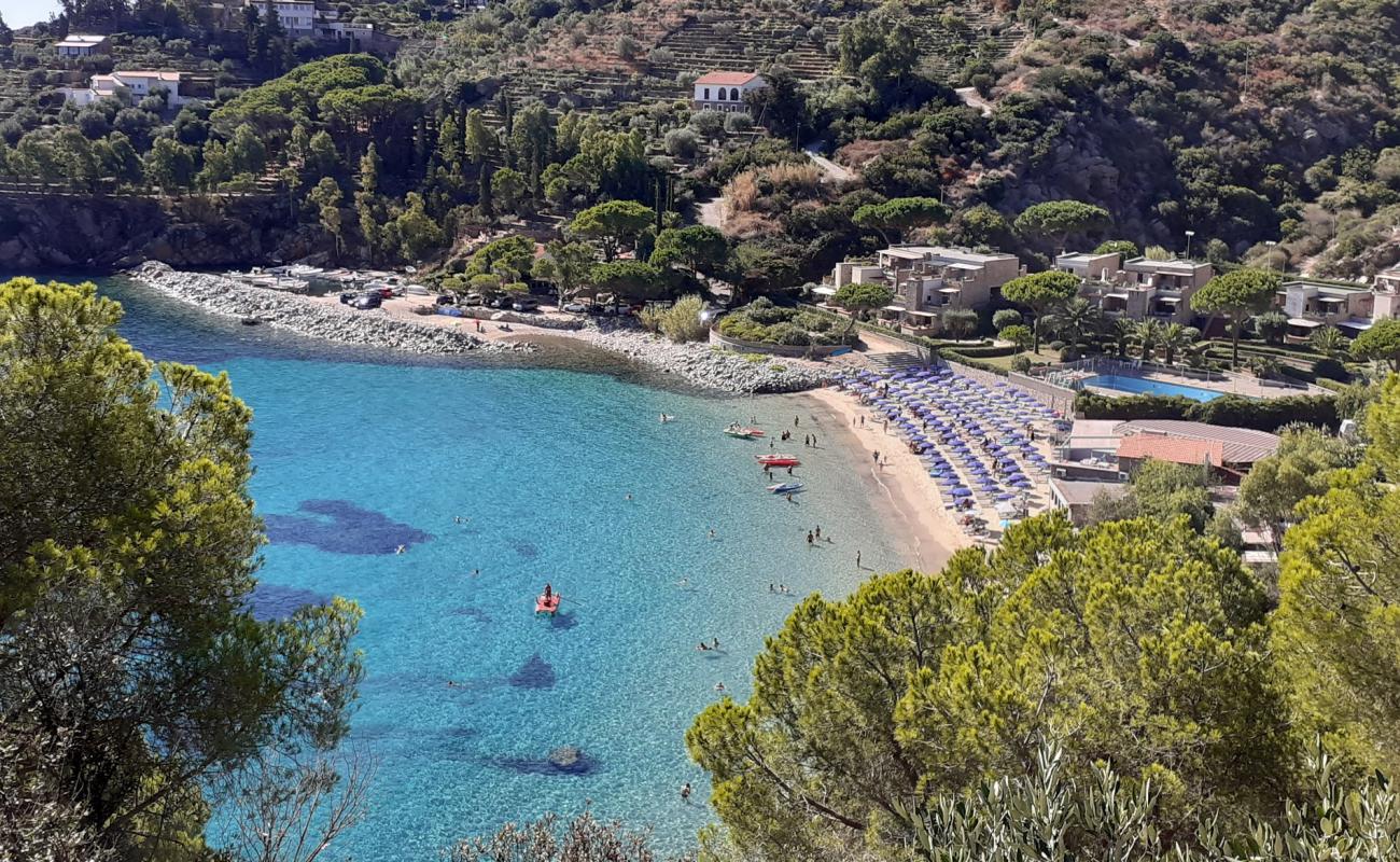 Photo of Cannelle Beach with bright fine sand surface