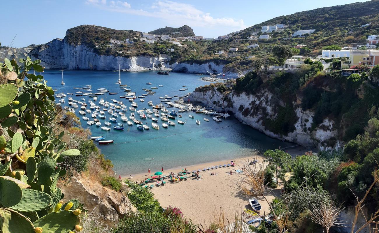 Photo of Cala Feola Beach with bright fine sand surface