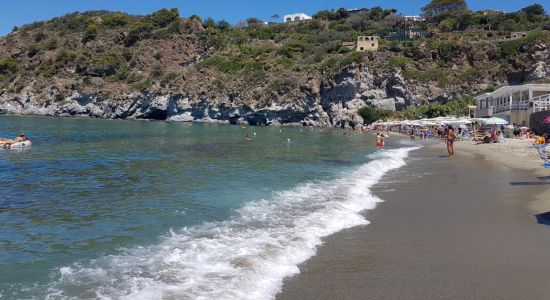 Arenile Di San Francesco Beach