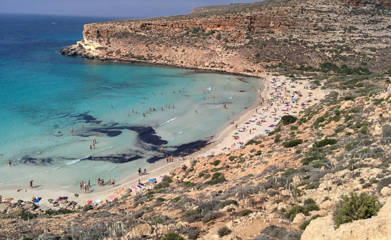 Photo of Dei Conigli Beach with bright fine sand surface