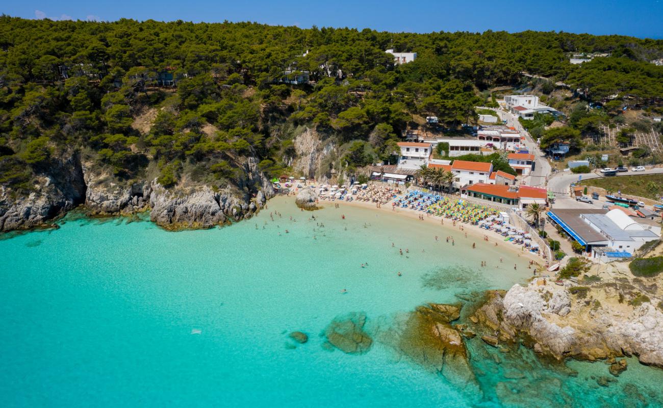 Photo of Tremiti Beach (Arena Cove) with bright fine sand surface