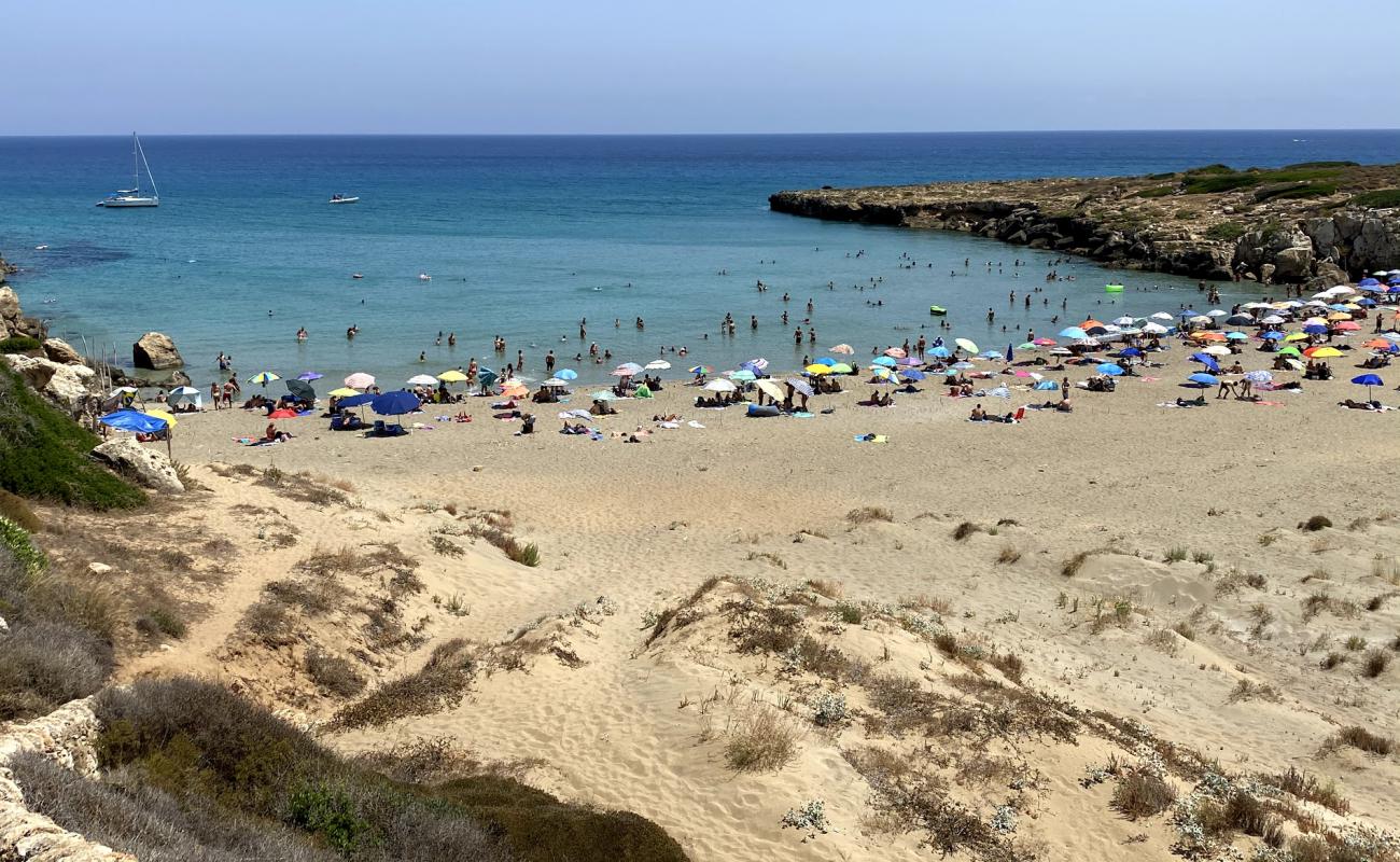 Photo of Spiaggia di Calamosche with brown sand surface