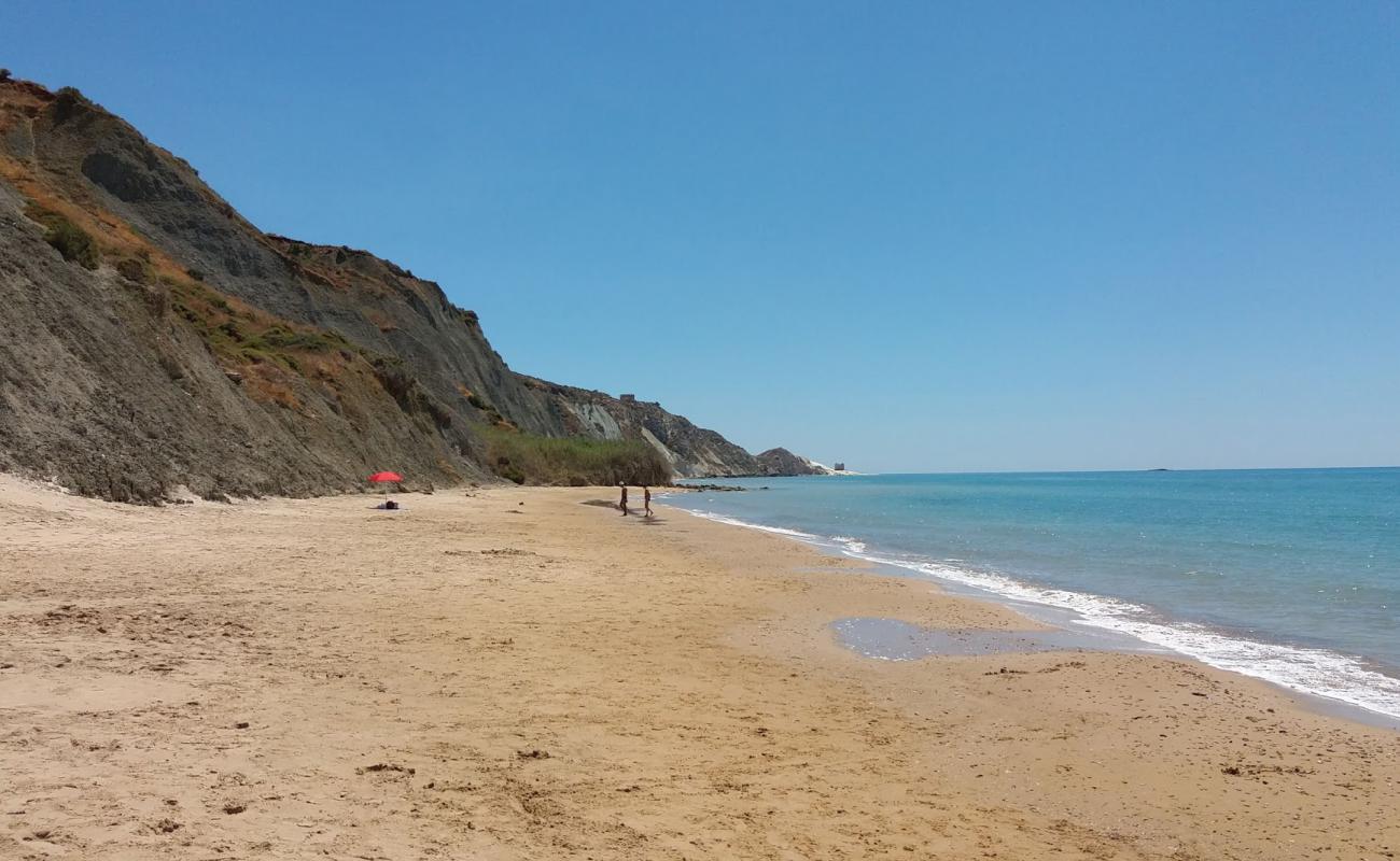 Photo of Drasy with brown sand surface