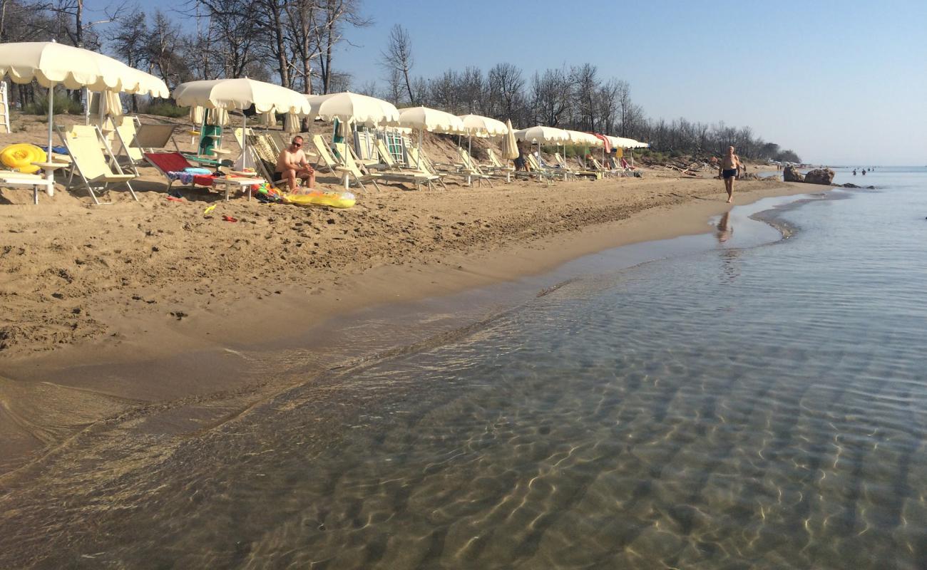 Photo of Metaponto Lido beach II with brown sand surface