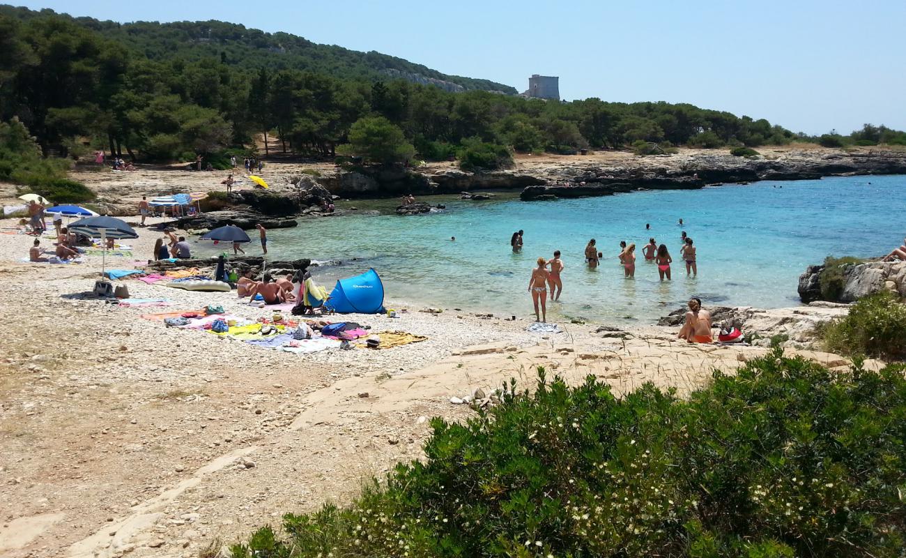 Photo of Spiaggia di Porto Selvaggio with rocks cover surface