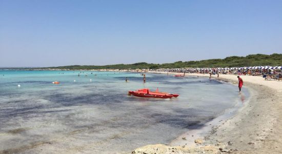 Punta Pizzo Beach