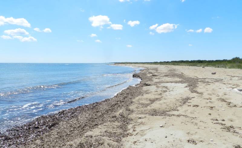 Photo of Veneri beach with bright sand surface