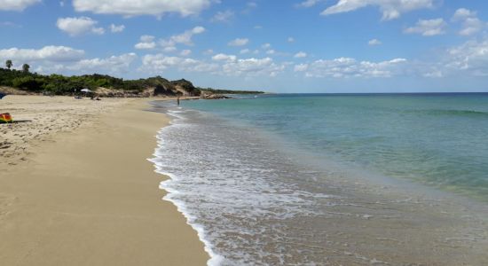 Rosa Marina beach II