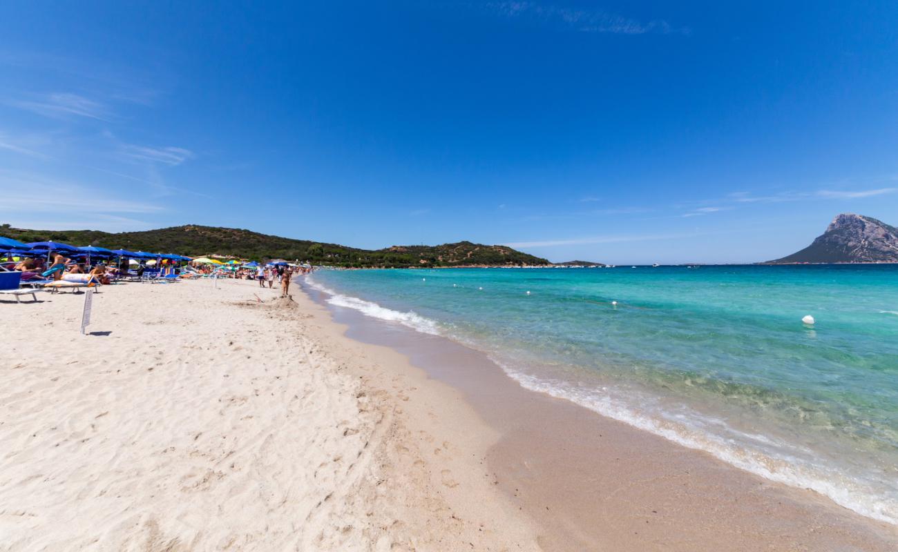 Photo of Porto Taverna Beach with bright fine sand surface