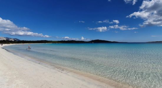 Cala Brandinchi beach