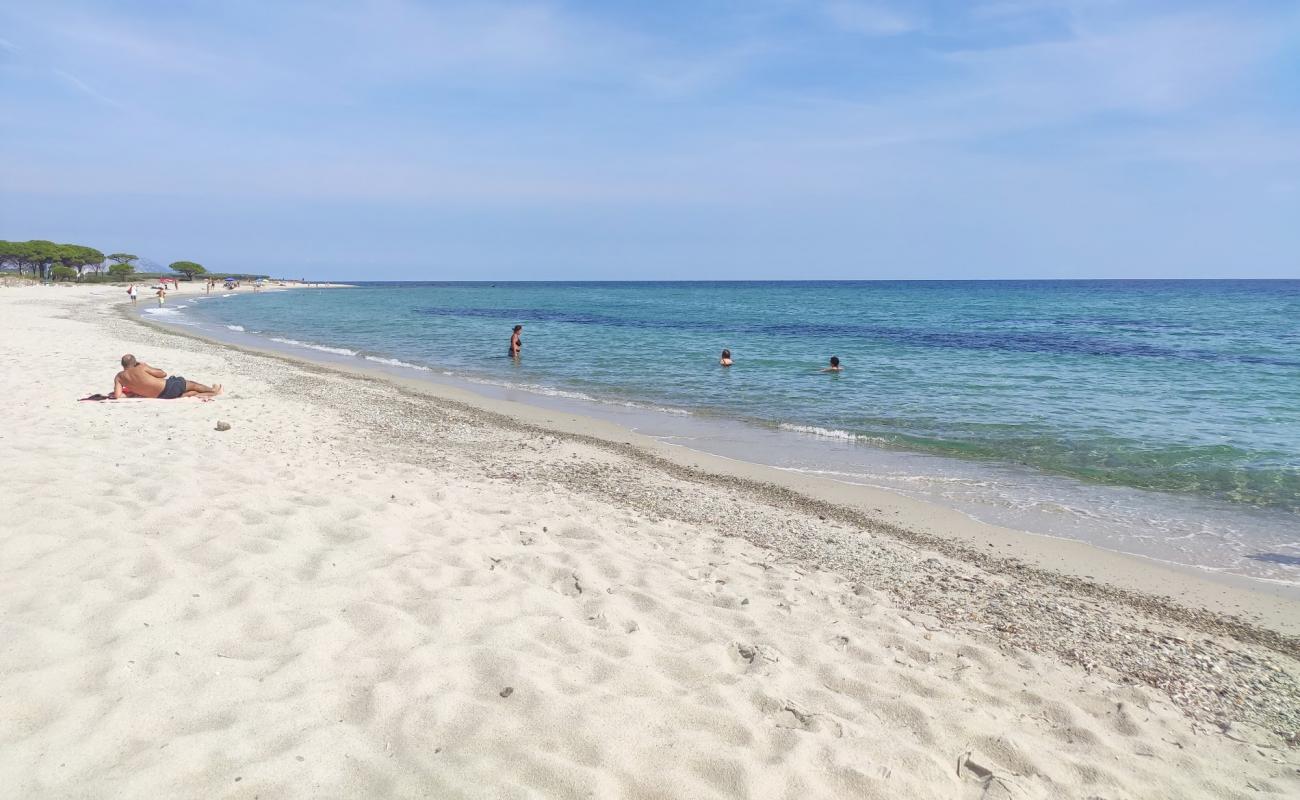 Photo of Spiaggia per Cani with bright fine sand surface