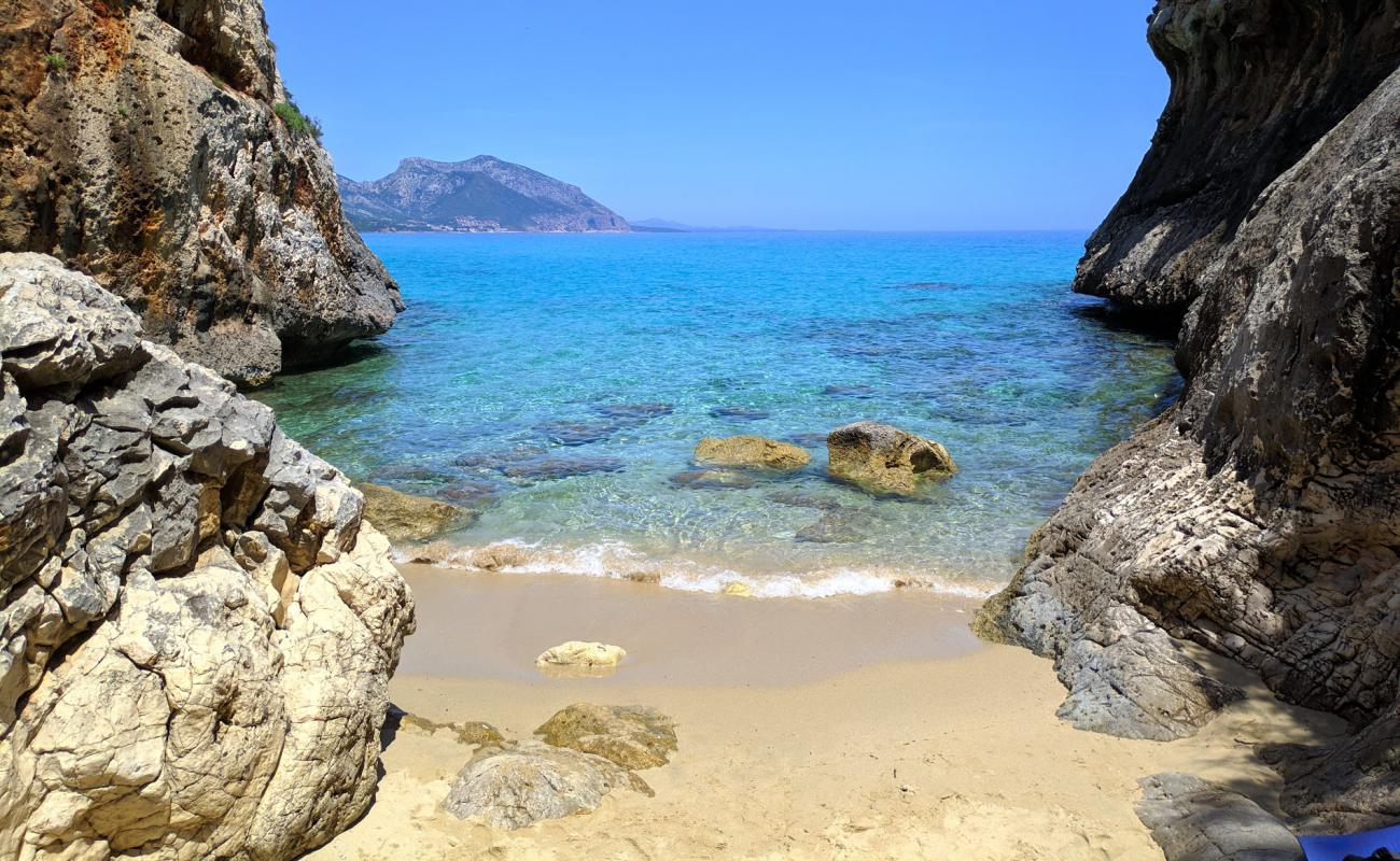 Photo of Cala di Oddoana with bright fine sand surface