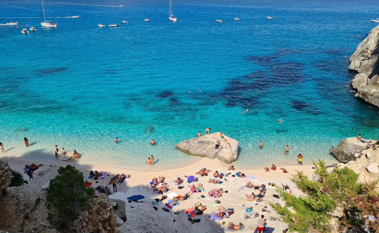 Photo of Cala Goloritze with white fine pebble surface