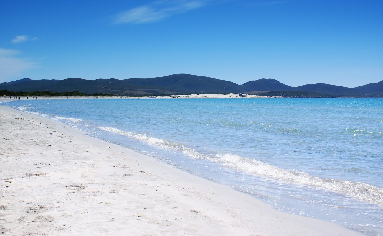 Photo of Porto Pino Beach with white fine sand surface