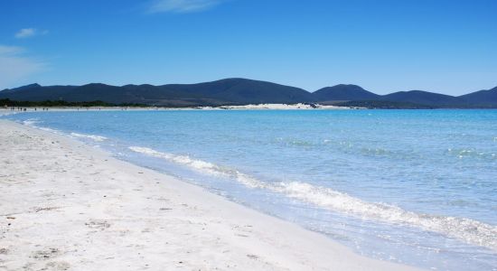 Porto Pino Beach