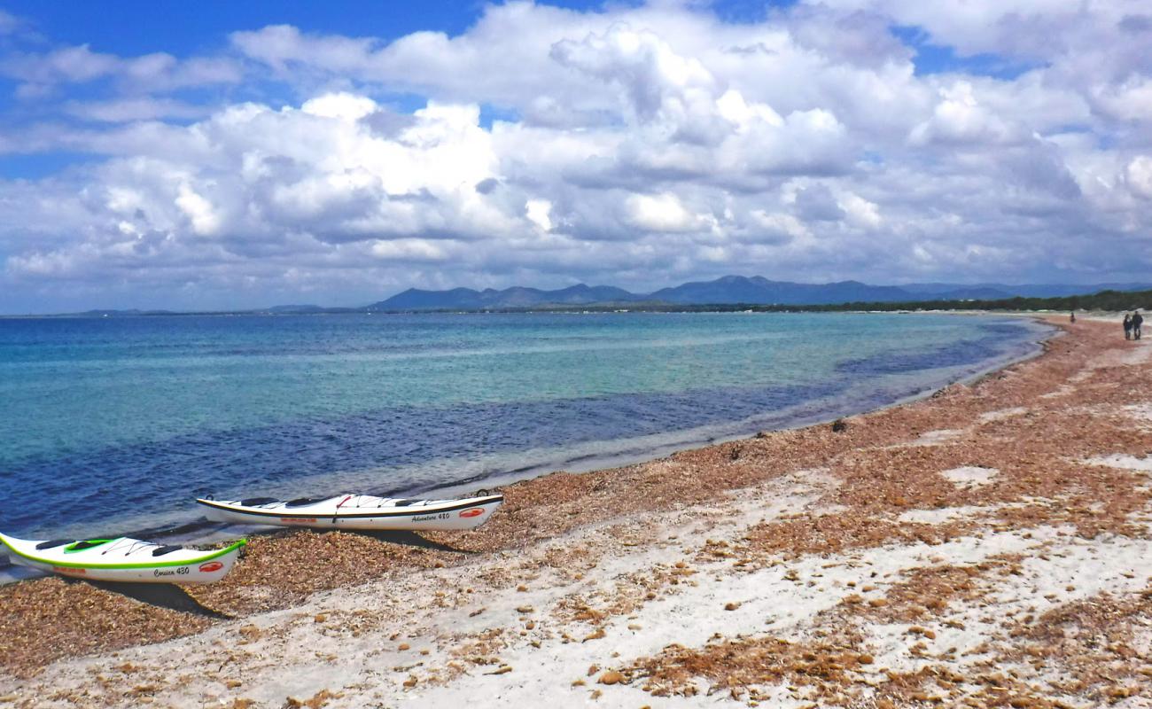 Photo of Wild Wind Sardinia beach with bright sand surface