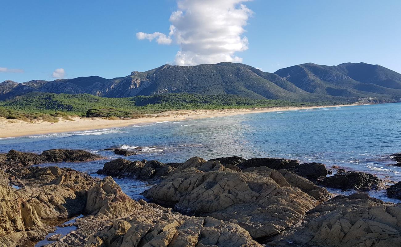 Photo of Portixeddu beach with bright fine sand surface