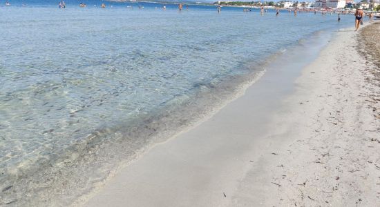 Lido di Alghero beach