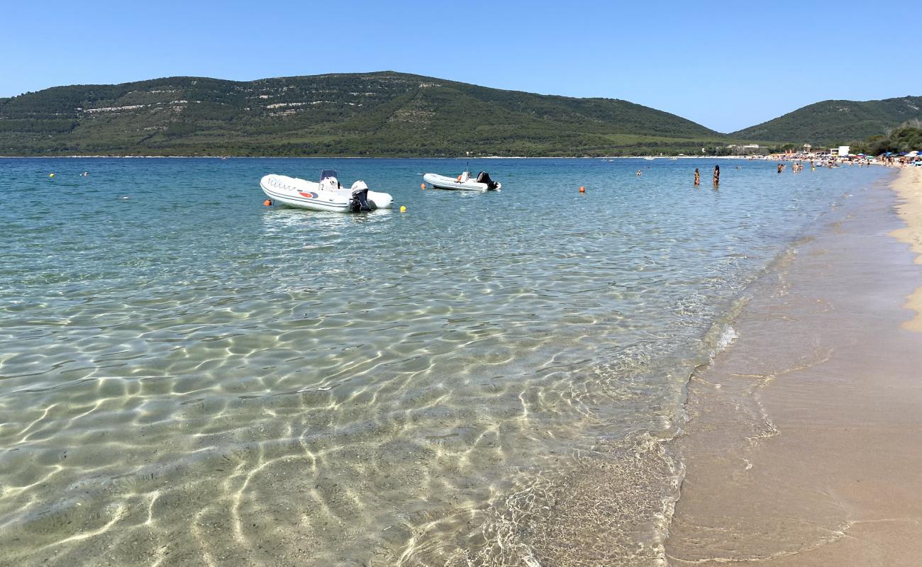 Photo of Mugoni Beach with bright sand surface