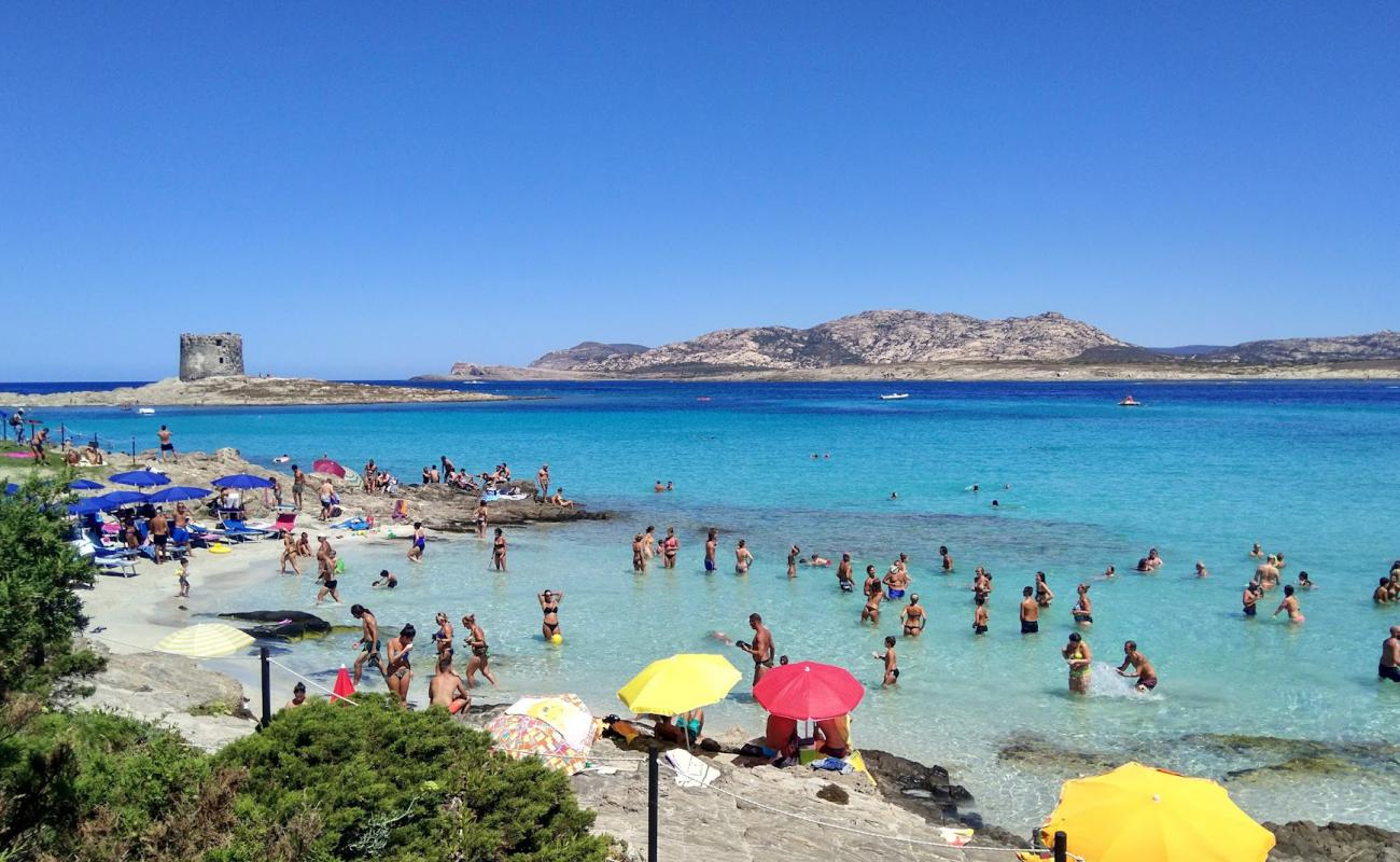 Photo of La Pelosa Beach with bright fine sand surface