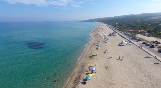 Junchi di Badesi beach