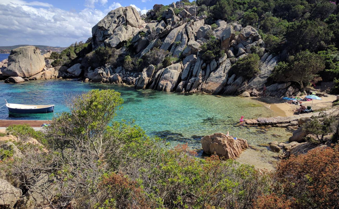 Photo of Spiaggia di Cala Martinella with brown sand surface