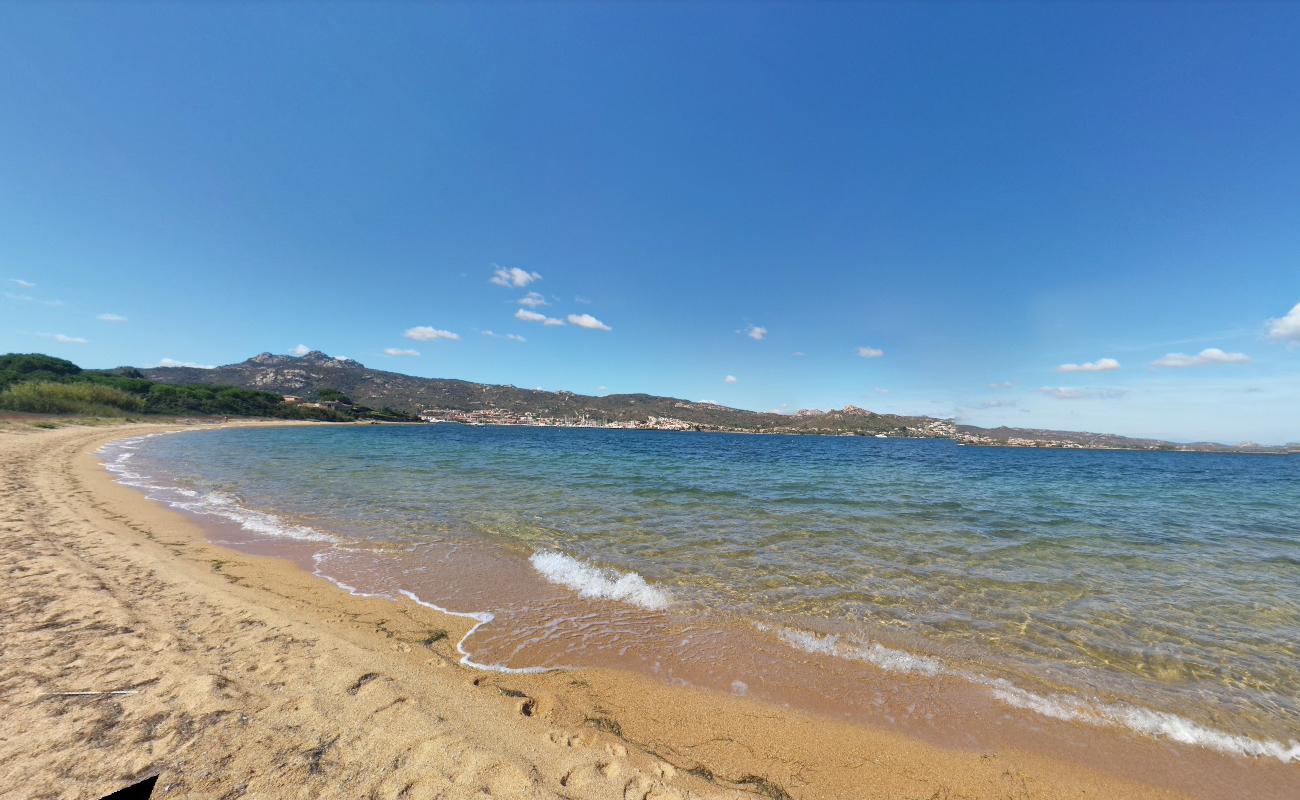 Photo of Dog Beach with blue water surface