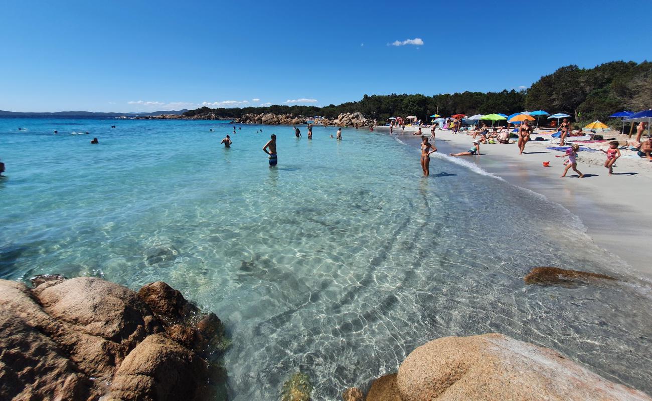 Photo of Capriccioli Beach (East) with bright fine sand surface