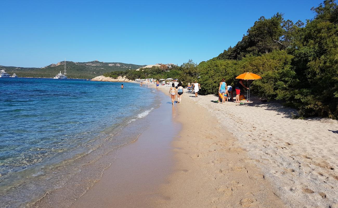 Photo of La Celvia beach with light fine pebble surface