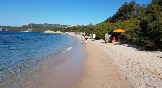 La Celvia beach