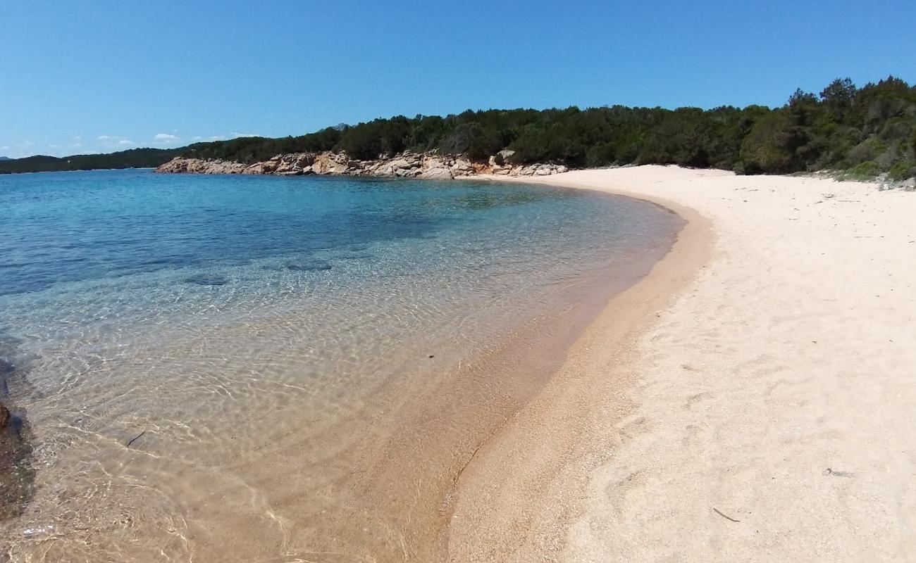 Photo of Piccola Lisciaruja beach with bright sand surface