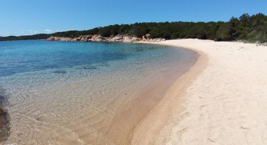 Piccola Lisciaruja beach