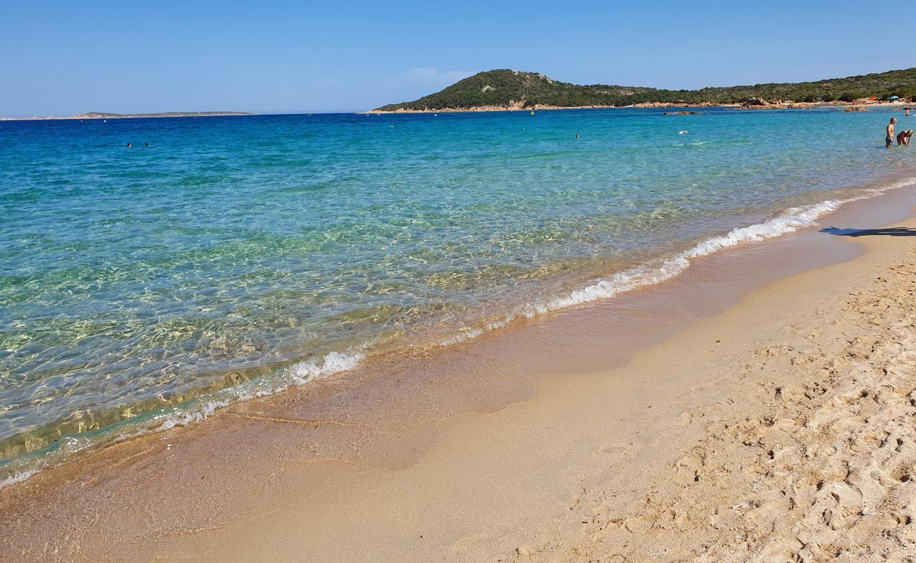 Photo of Liscia Ruja beach with bright fine sand surface