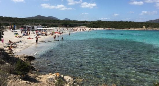 Spiaggia di Cala Sabina