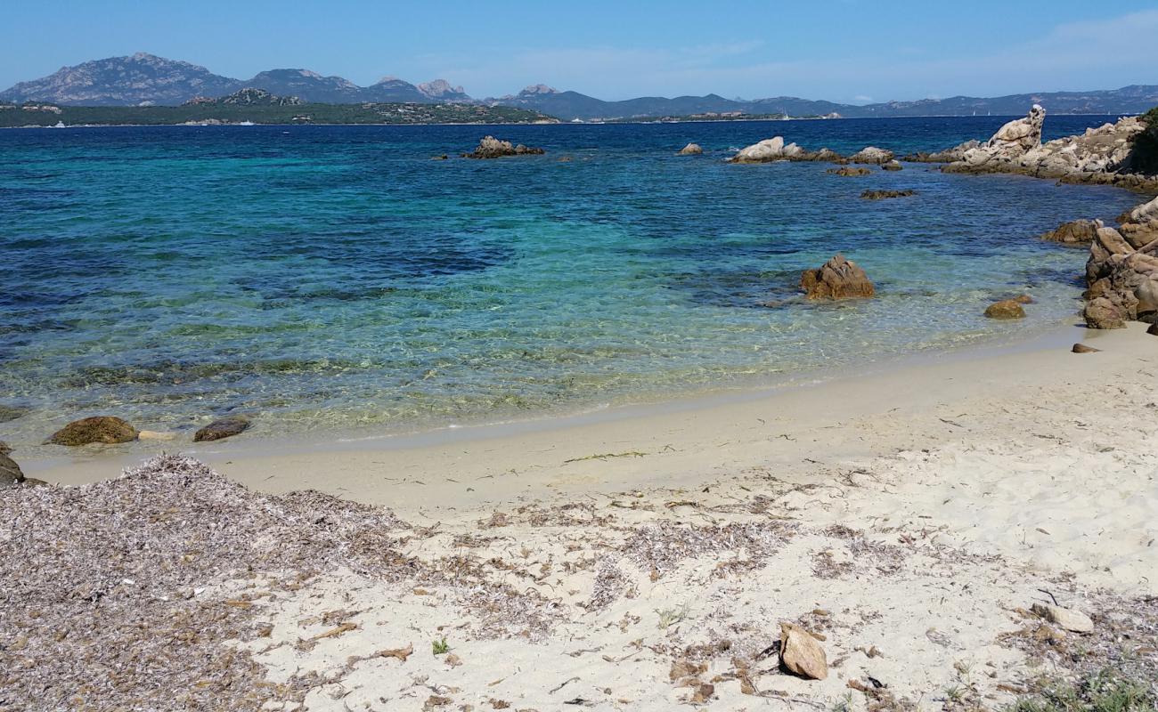 Photo of Caletta delle tartarughe with bright sand surface